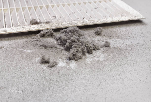 Best Air Duct Sanitizing Services  in Roma, TX