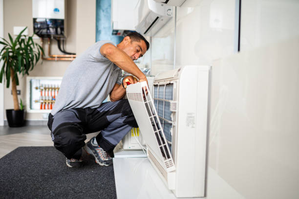 Air Duct Mold Removal in Roma, TX