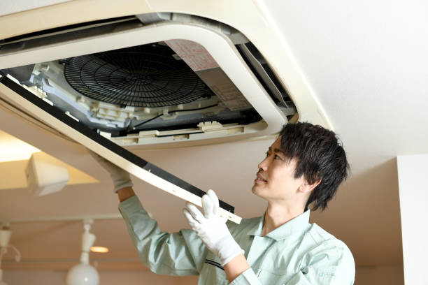 Best Affordable Air Duct Cleaning  in Roma, TX