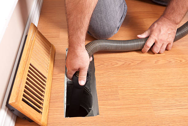 Best Ductwork Cleaning Services  in Roma, TX
