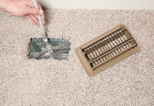 Best Professional Duct Cleaning Services  in Roma, TX