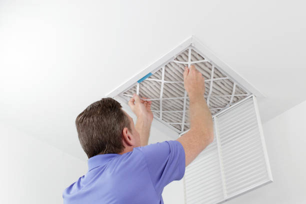 Best Ventilation Cleaning Services  in Roma, TX
